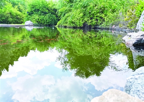 污水厂内生物指示池流动的均为净化后的水